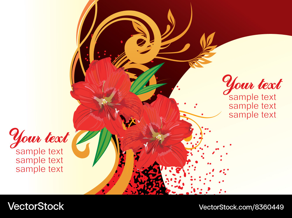 Red lily design with text space vector image
