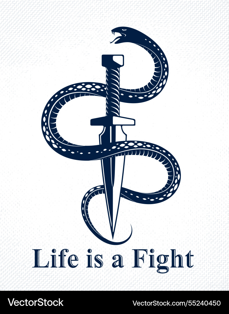 Dagger kills a snake defeated serpent wraps Dagger kills a snake defeated serpent wraps vector image