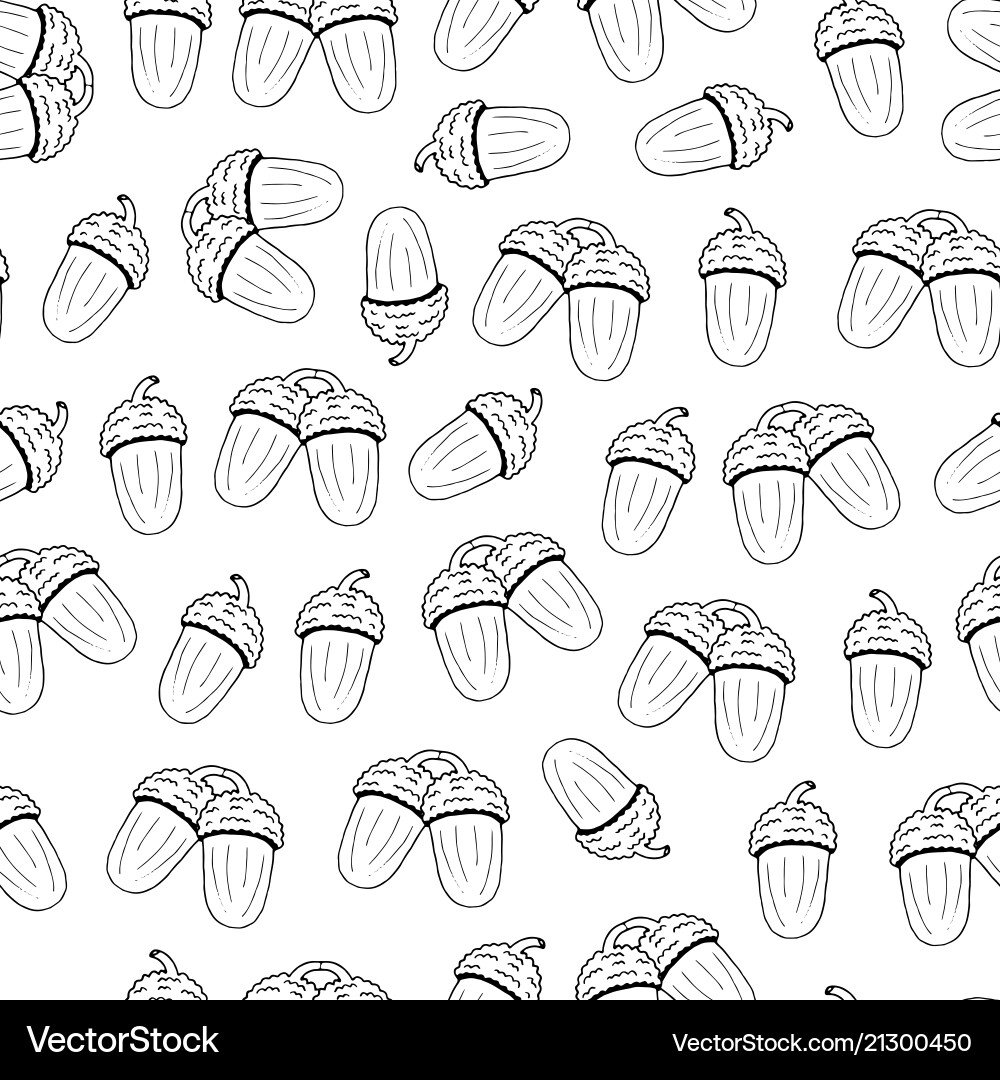 Seamless pattern from outline acorn on a white Vector Image