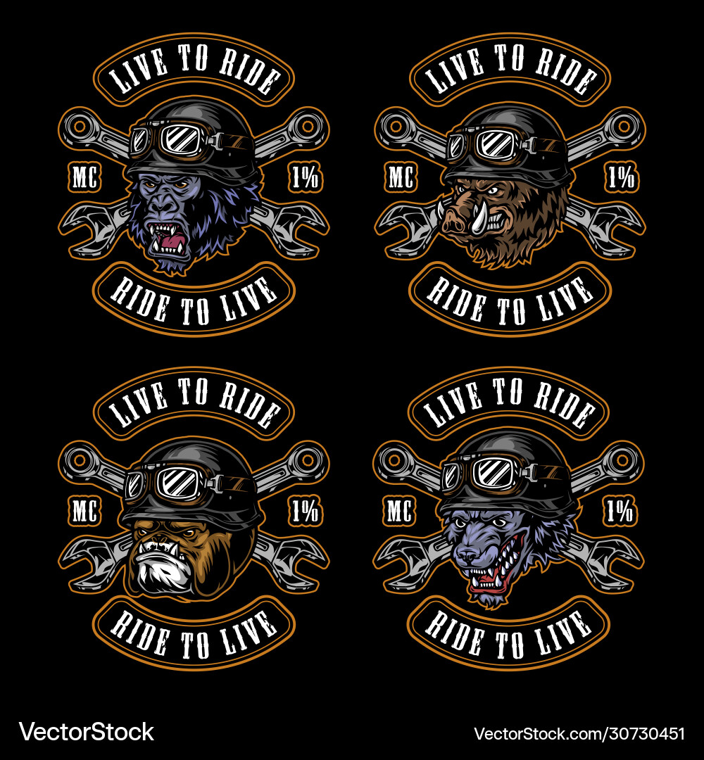 Aggressive Biker Prints Vector Image
