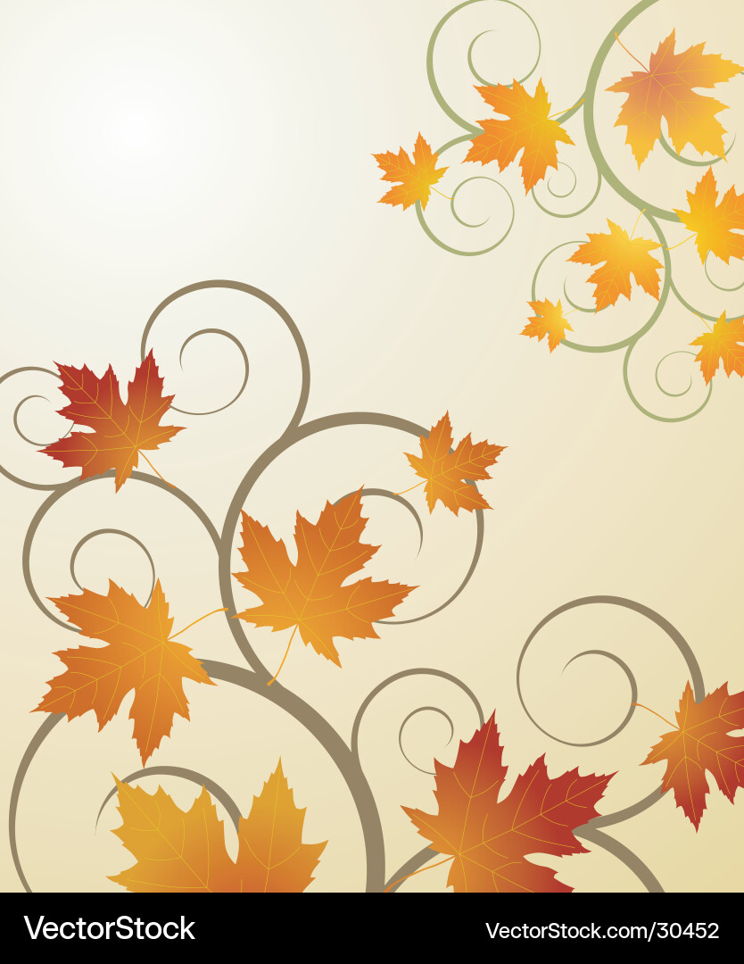 Autumn Maple Leaf Background Vector Image