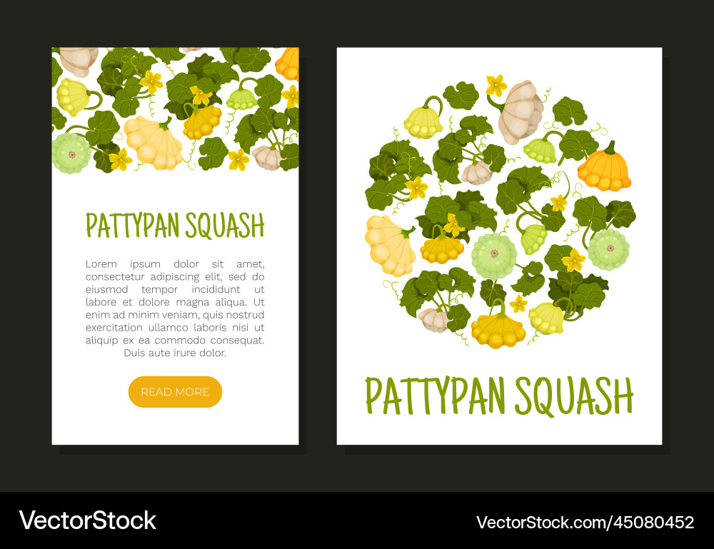 Pattypan squash design with shallow shape Pattypan squash design with shallow shape vector image