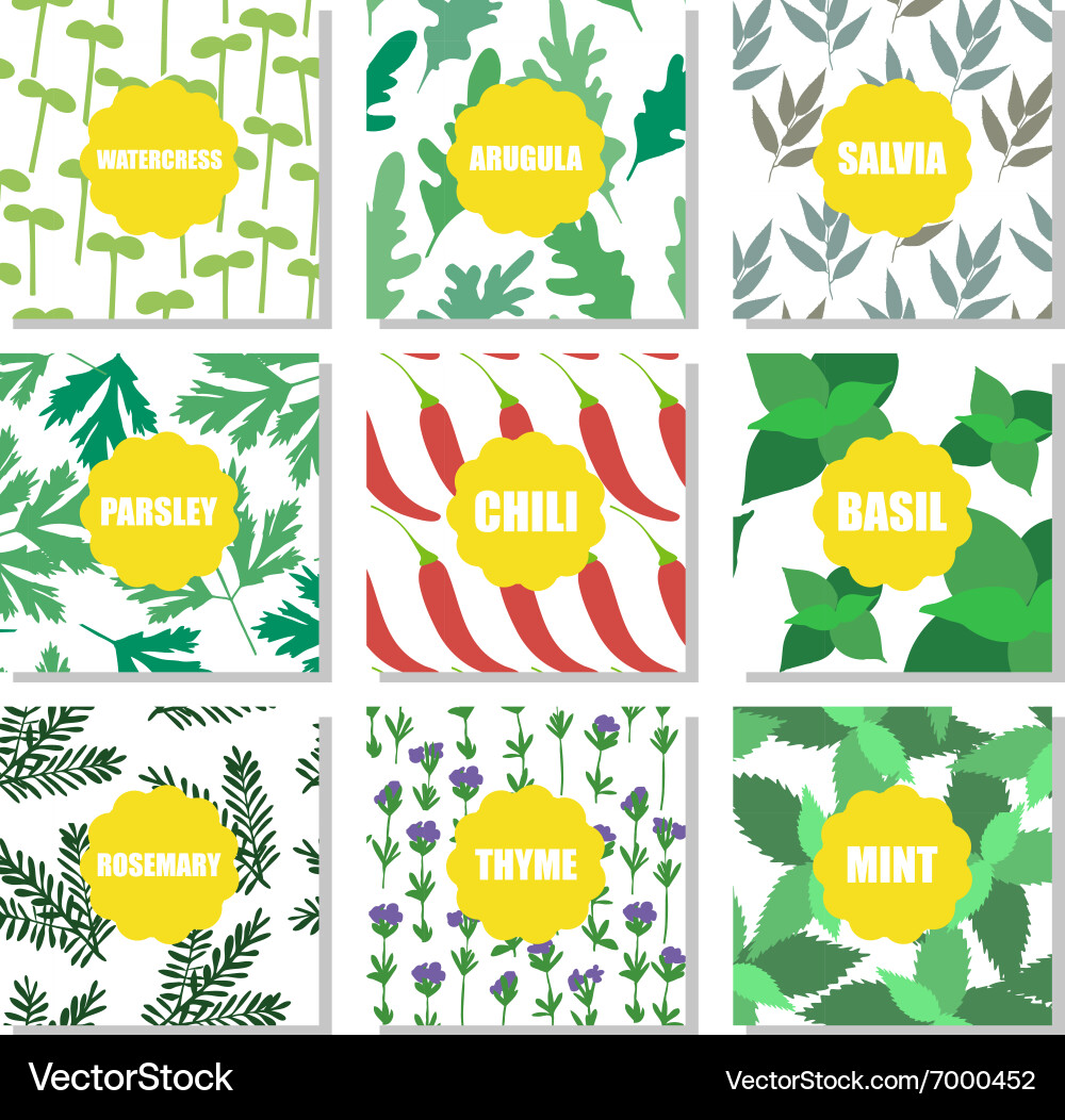 Set of hand drawn patterns vector image