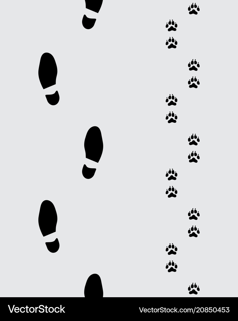 Footprints of man and dog vector image