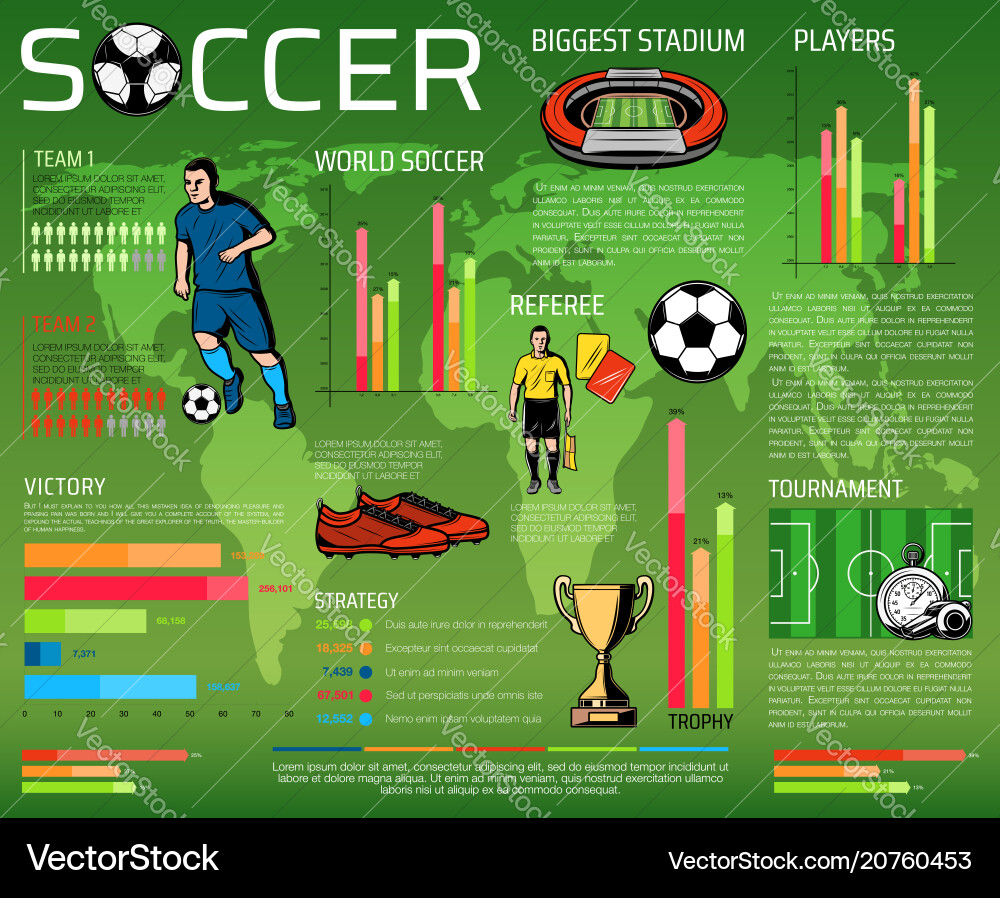 Soccer or football sport competition infographic Soccer or football sport competition infographic vector image