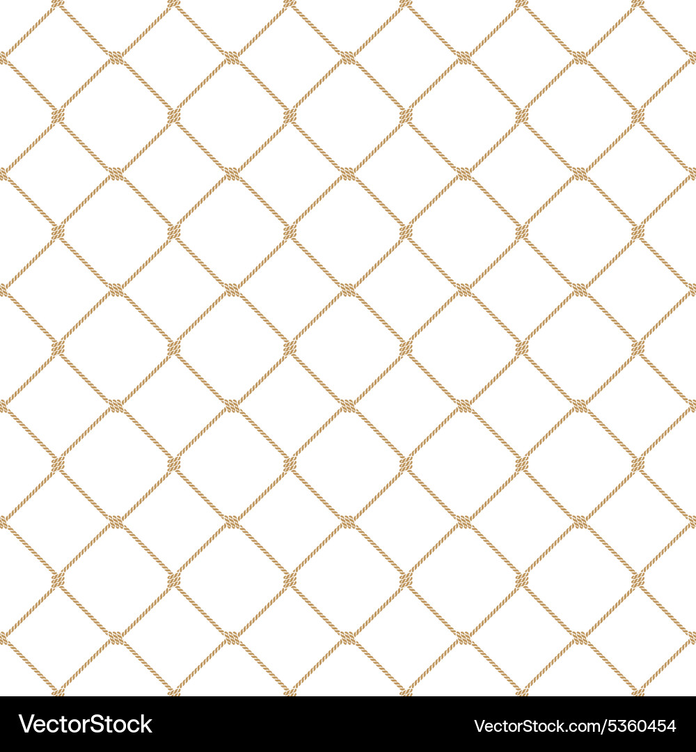 Gold Rope Net Pattern vector image