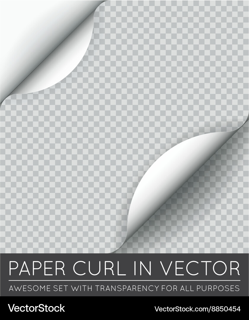 Paper page curl with shadow isolated vector image