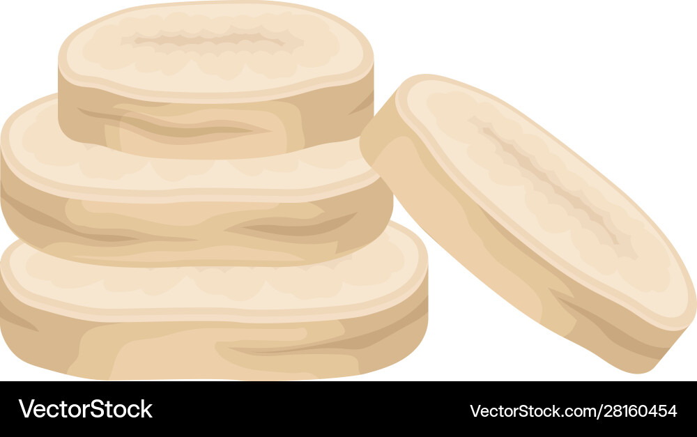 Parsnip root cut into slices item Parsnip root cut into slices item vector image