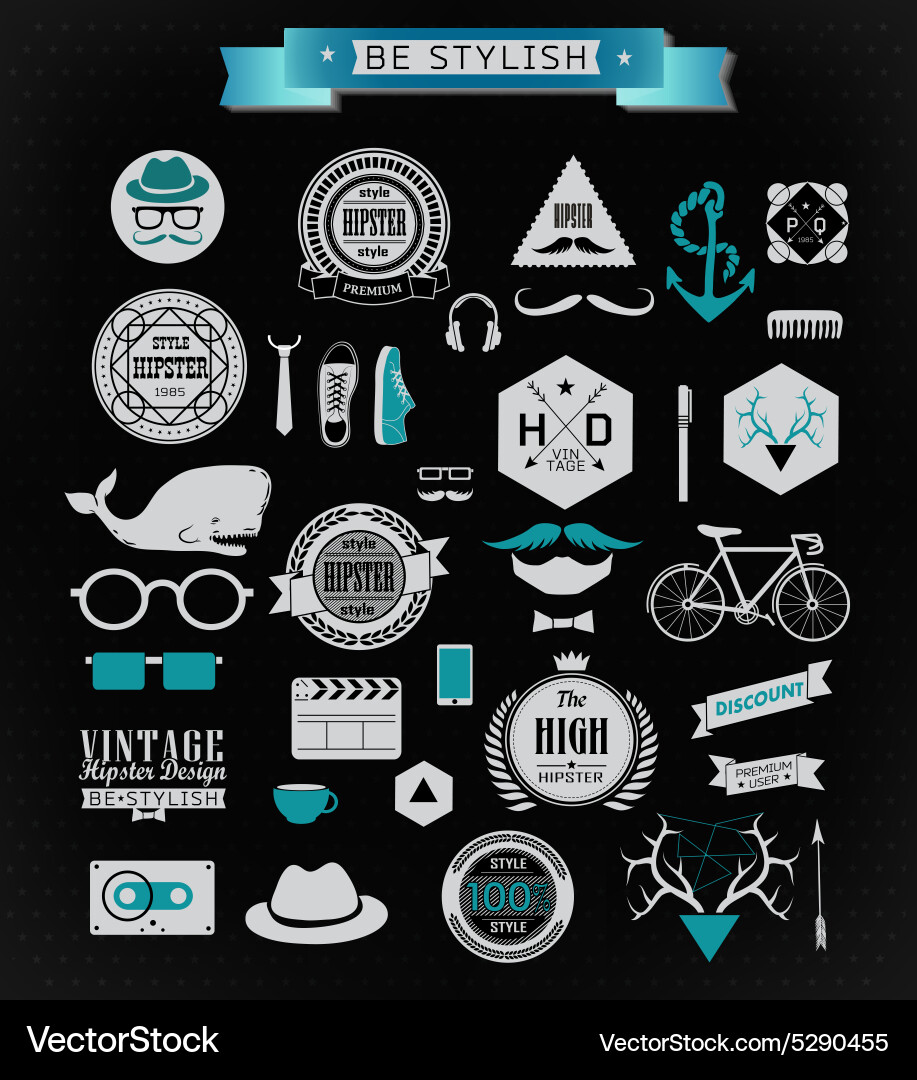 Hipster style elements and icons Vector Image
