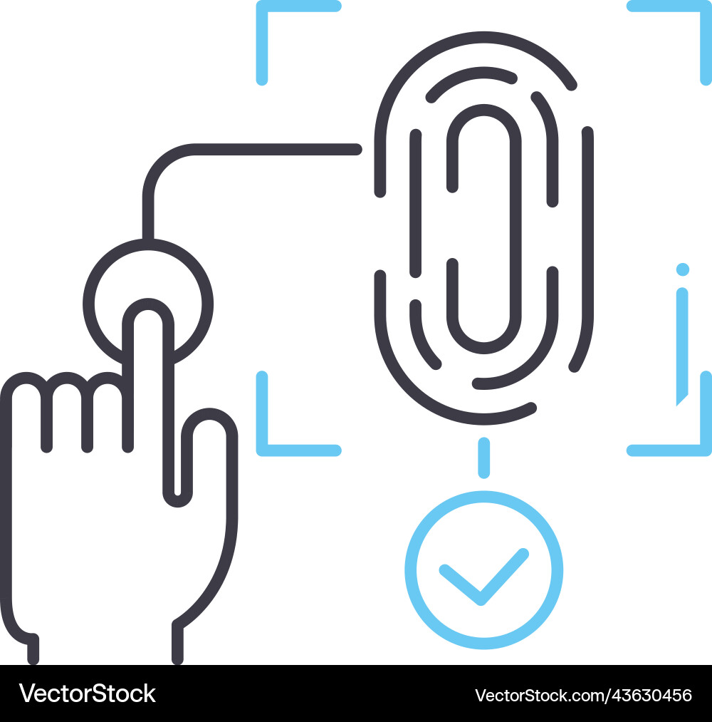 Algorithm line icon outline symbol Algorithm line icon outline symbol vector image