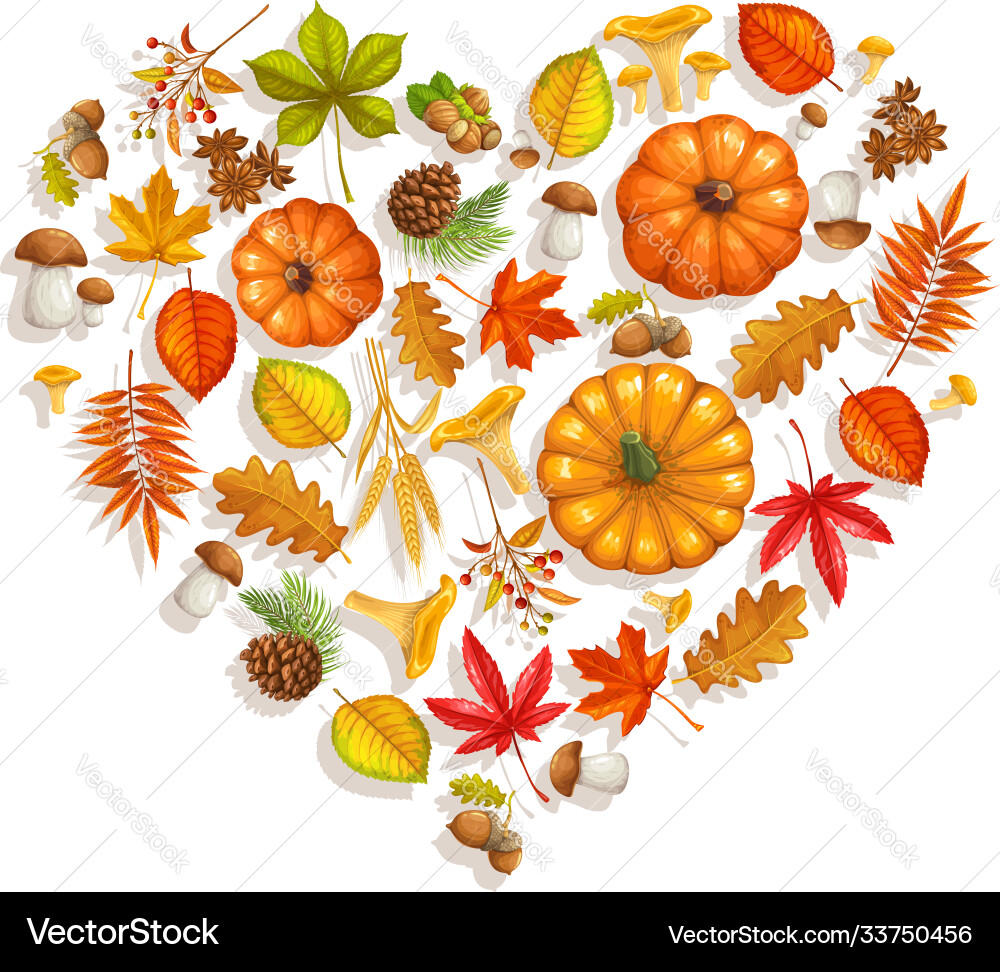 Autumn Fall Banner with Maple & Pumpkin Vector Image