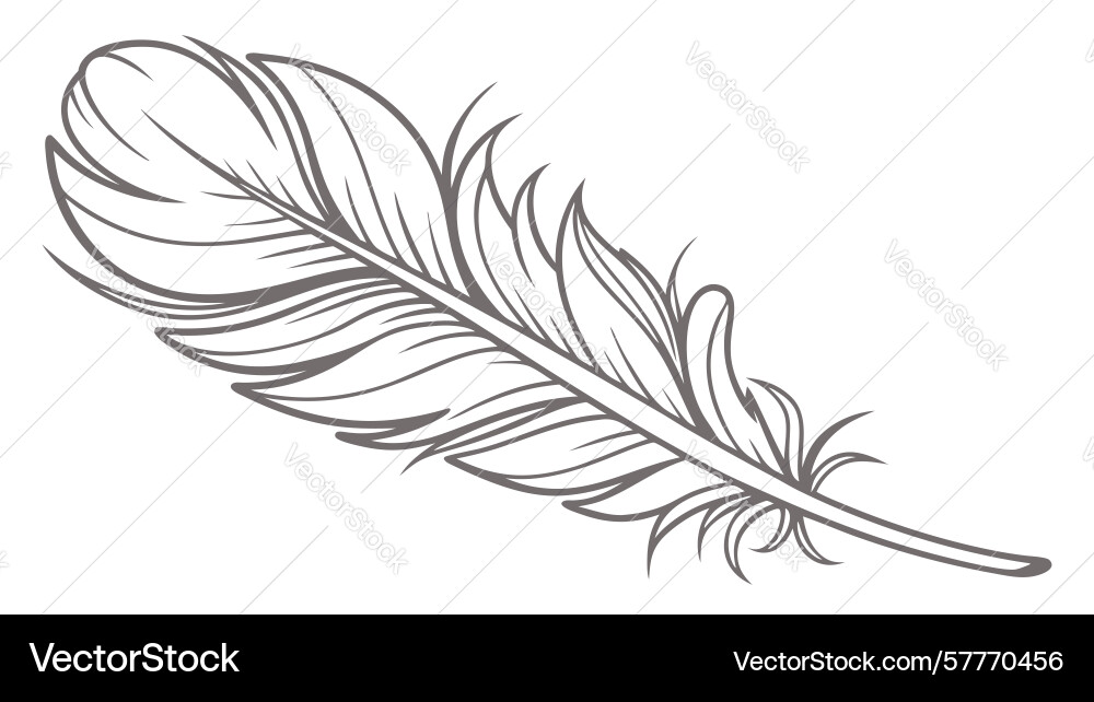 Detailed feather for design generative ai Vector Image