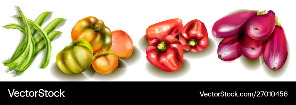 Gemüse Auberginenpfeffer gelbe Tomaten Gemüse Auberginenpfeffer gelbe Tomaten vektorbild