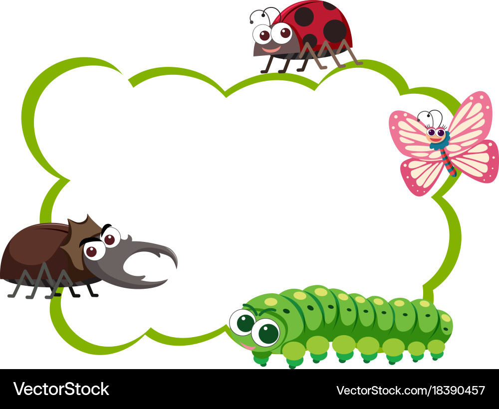 Border template with four types of insects Vector Image