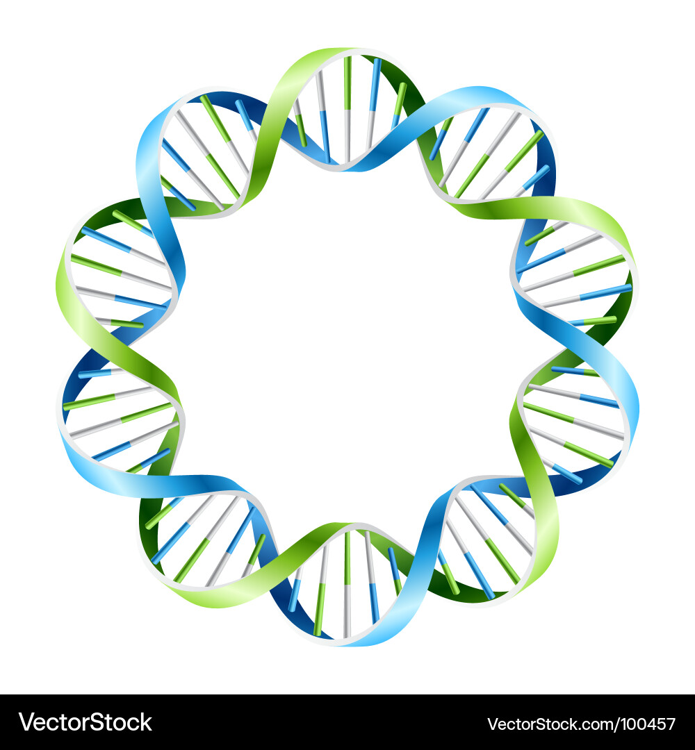Dna strands Royalty Free Vector Image - VectorStock