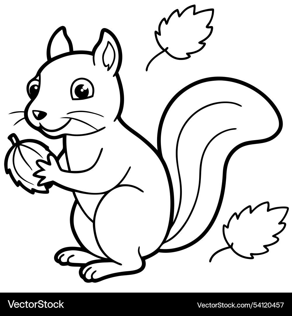Joyful squirrel with acorn in autumn leaves line Vector Image