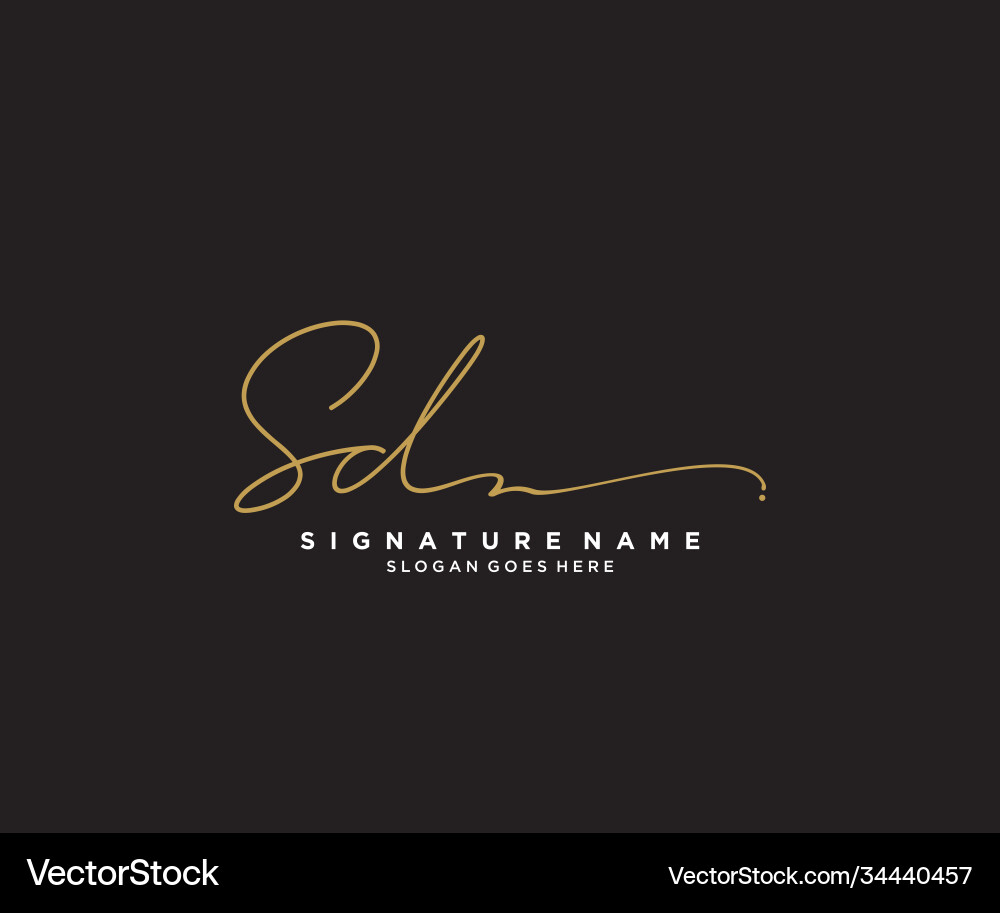 SD Signature Logo Template - Handwriting Script Vector Image