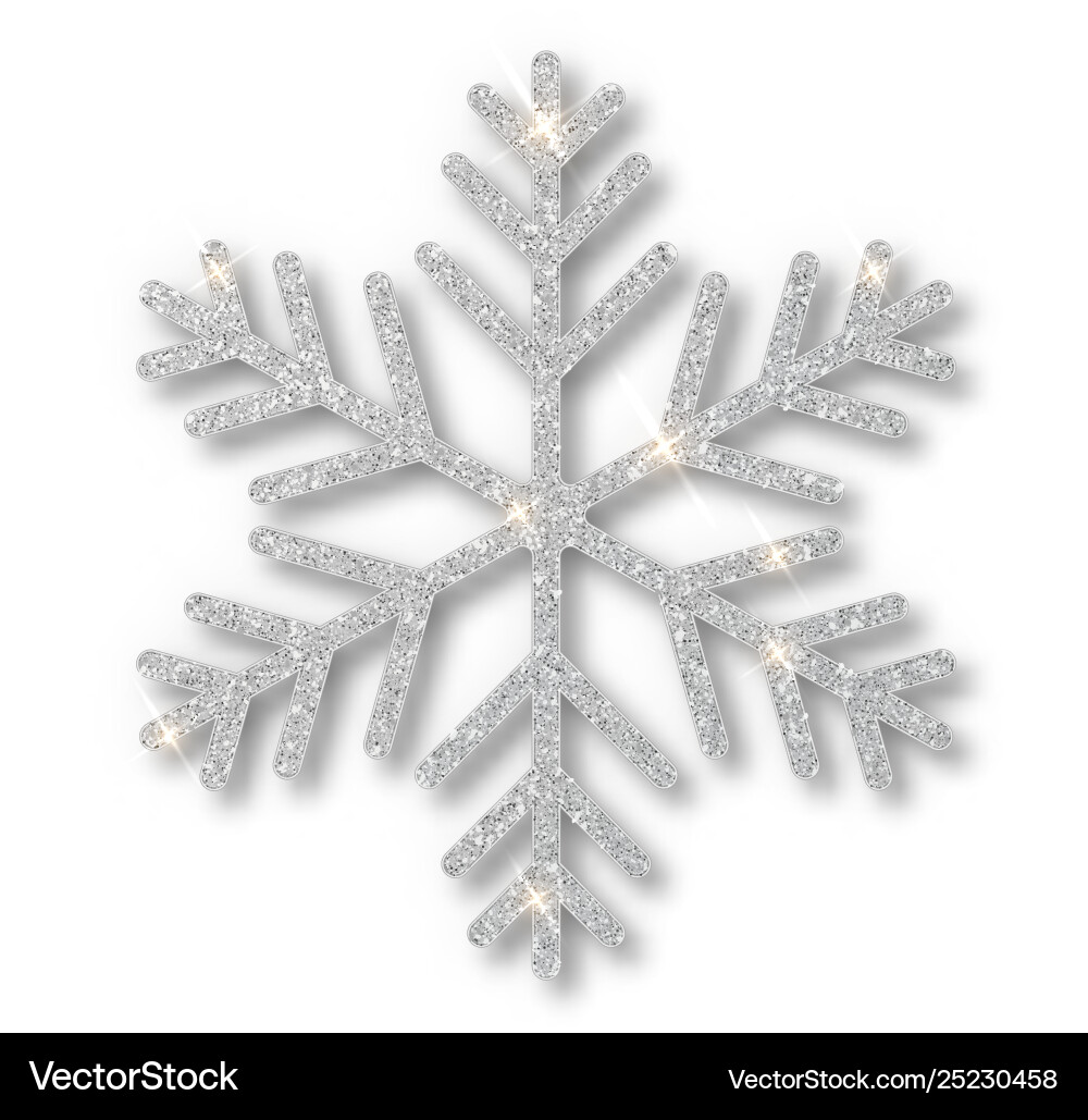 Silver snowflake christmas decoration covered Silver snowflake christmas decoration covered vector image