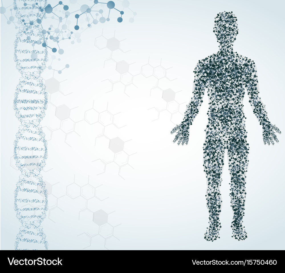 Abstract medical background with male figure Vector Image