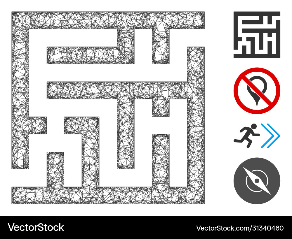 Labyrinth web mesh Labyrinth web mesh vector image
