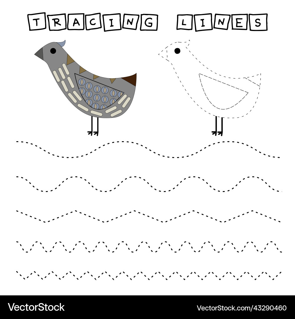 Tracing lines 3 Tracing lines 3 vector image