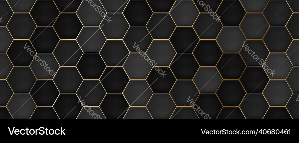 Black Hexagon Tile Pattern Vector Image