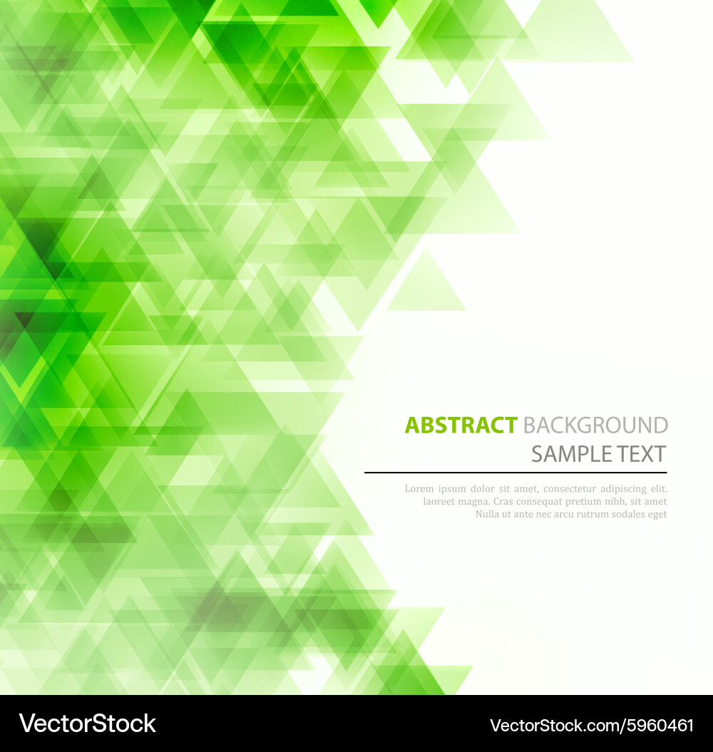 Triangular Geometric Background vector image