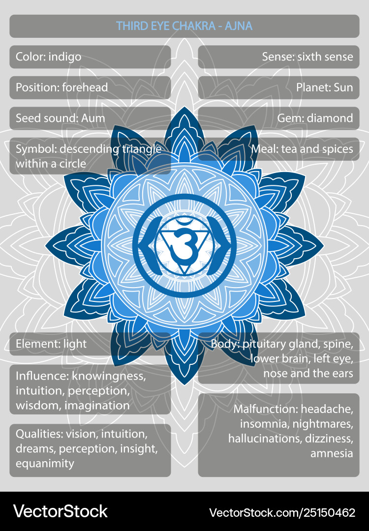 Understand The Chakras — Yogi Institute, image size:750x1080
