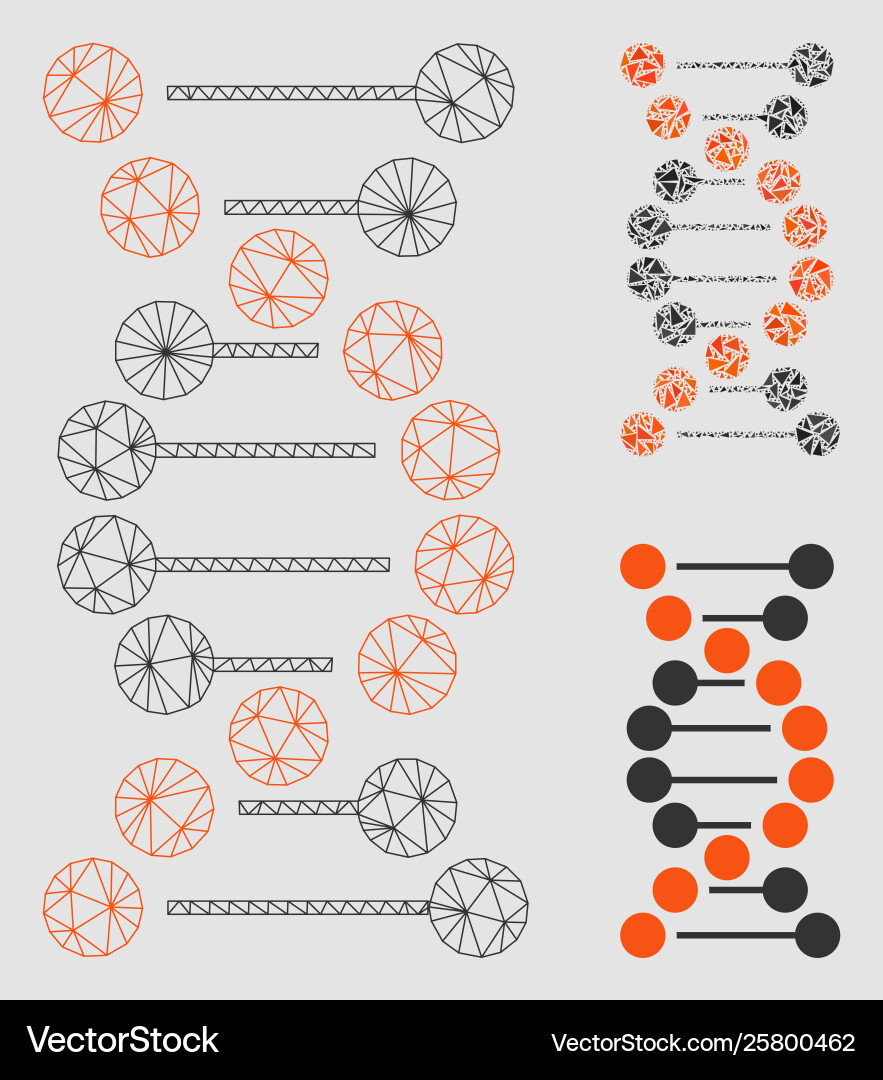 Dna spiral mesh network model and triangle Dna spiral mesh network model and triangle vector image