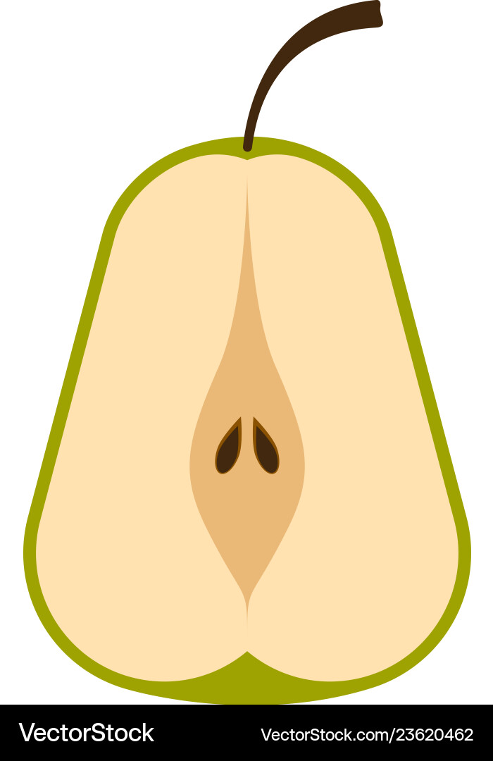 Front view of a cut pear Vector Image