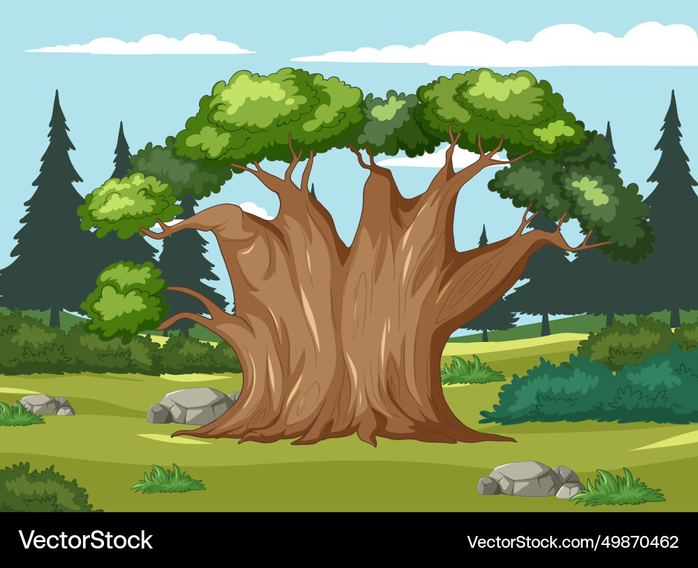Large tree with lush canopy in tranquil setting Large tree with lush canopy in tranquil setting vector image