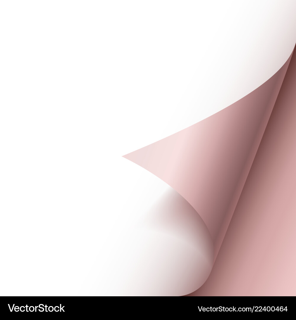 Page curl with shadow on blank sheet of paper Vector Image