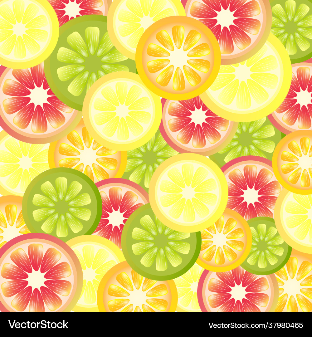 Bright background pattern with colorful citrus vector image