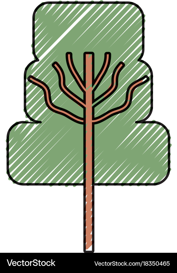 Tree Royalty Free Vector Image - VectorStock