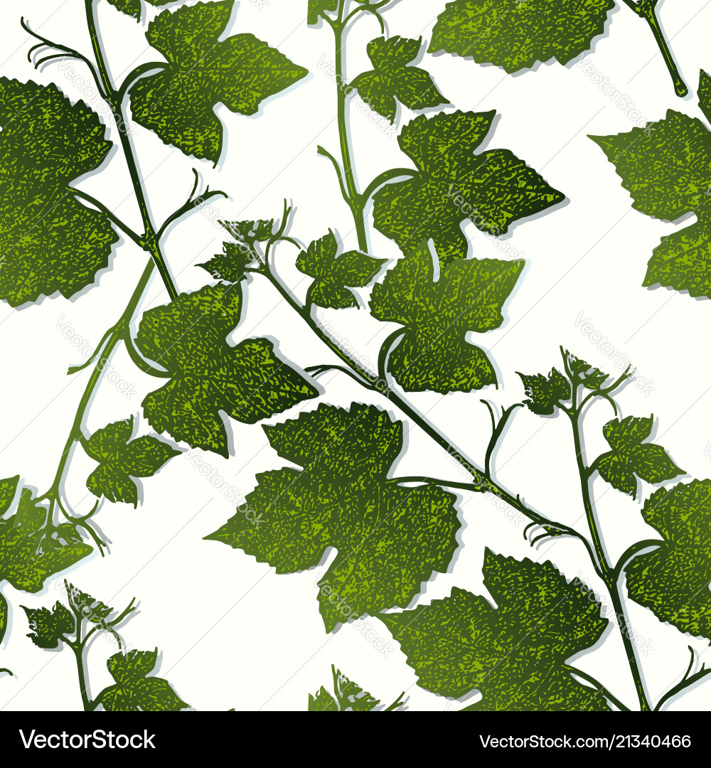 Decorative seamless pattern branches of grape Vector Image