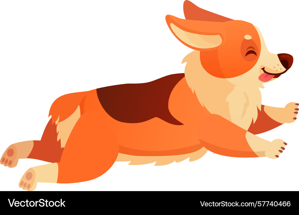 Joyful welsh corgi dog running swiftly with its Joyful welsh corgi dog running swiftly with its Vector Image