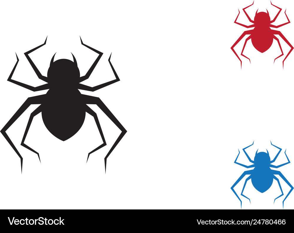 Spider logo template Vector Image