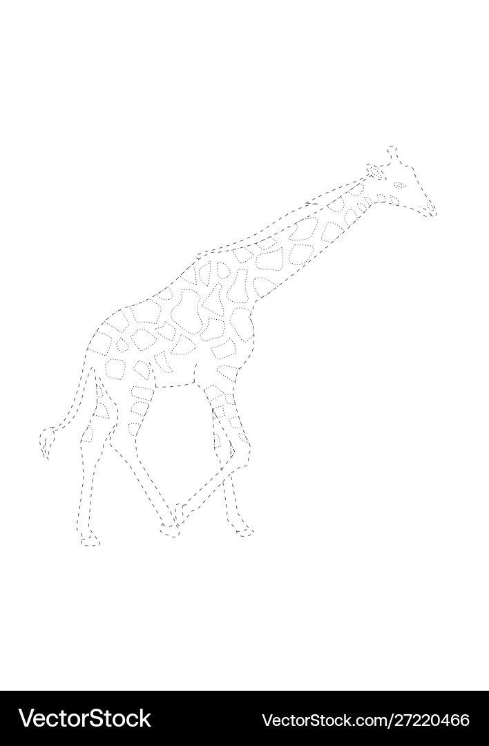 Trace and color giraffe tracing Vector Image