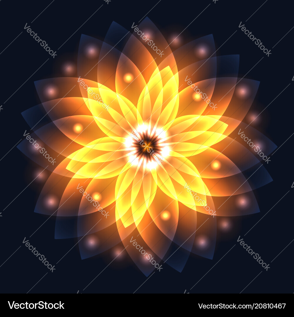 Abstract glowing light flower symbol of life Abstract glowing light flower symbol of life vector image