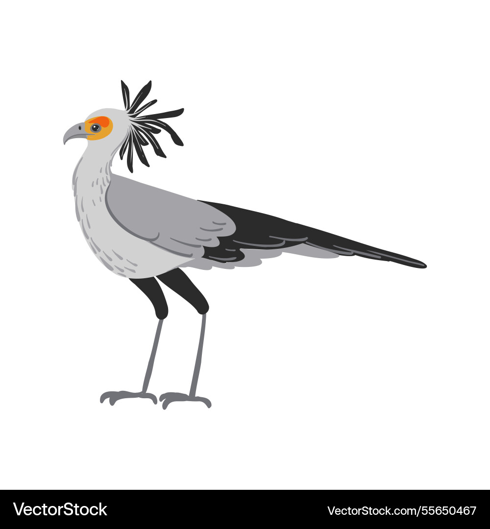 Drawing bird secretary Vector Image