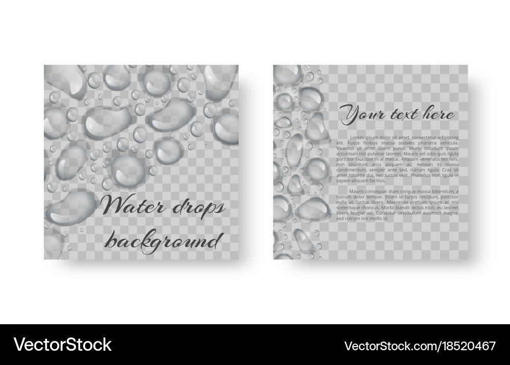 Leaflet with drops of dew vector image