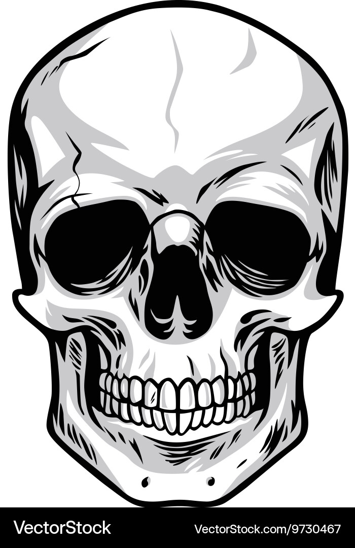 Skull Artwork - Skeleton Head vektorbild