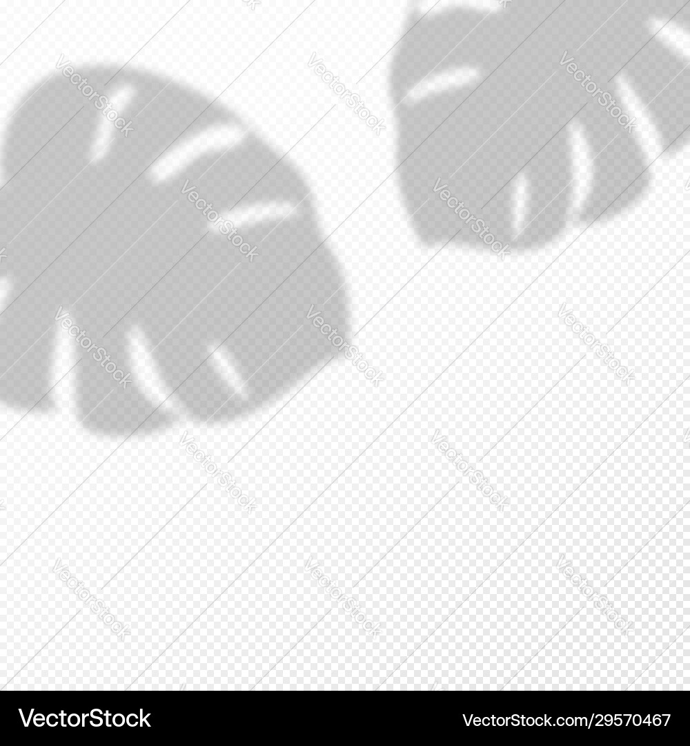 Transparent background with shadow overlay Transparent background with shadow overlay vector image