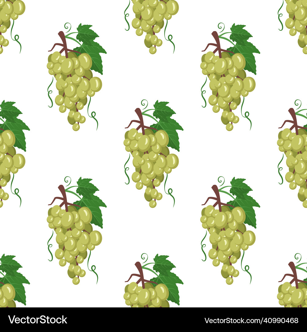 Seamless pattern with white grapes on branches Seamless pattern with white grapes on branches vector image