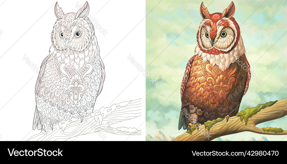 Coloring page and watercolor picture with owl Coloring page and watercolor picture with owl vector image