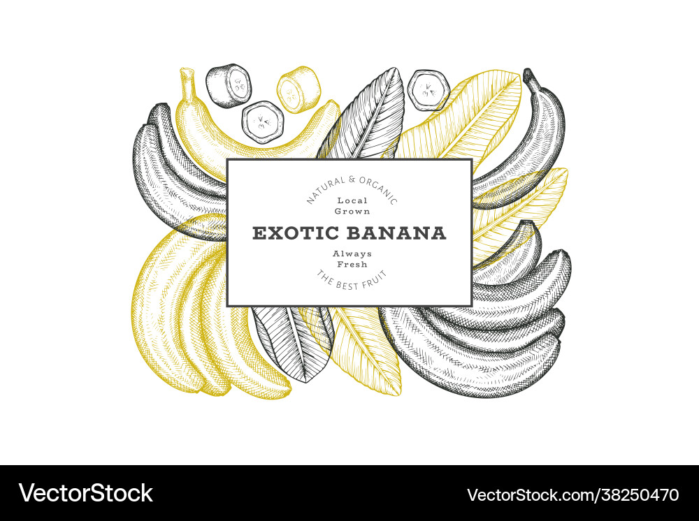 Hand gezeichnete Skizze Stil Bananenbanner Bio Hand gezeichnete Skizze Stil Bananenbanner Bio vektorbild