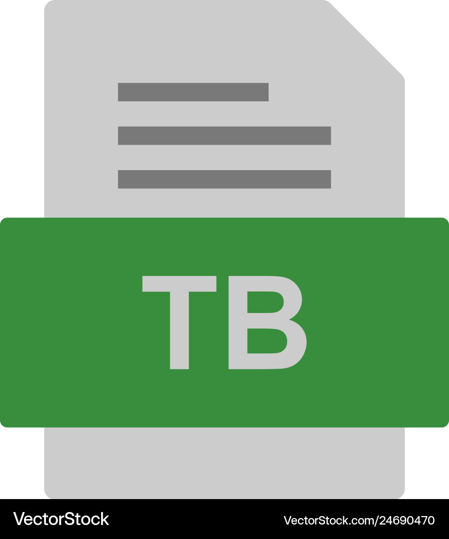Tb file document icon vector image