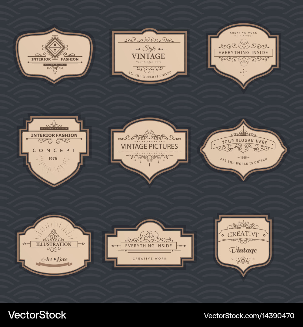 Vintage Frame & Label Set vector image
