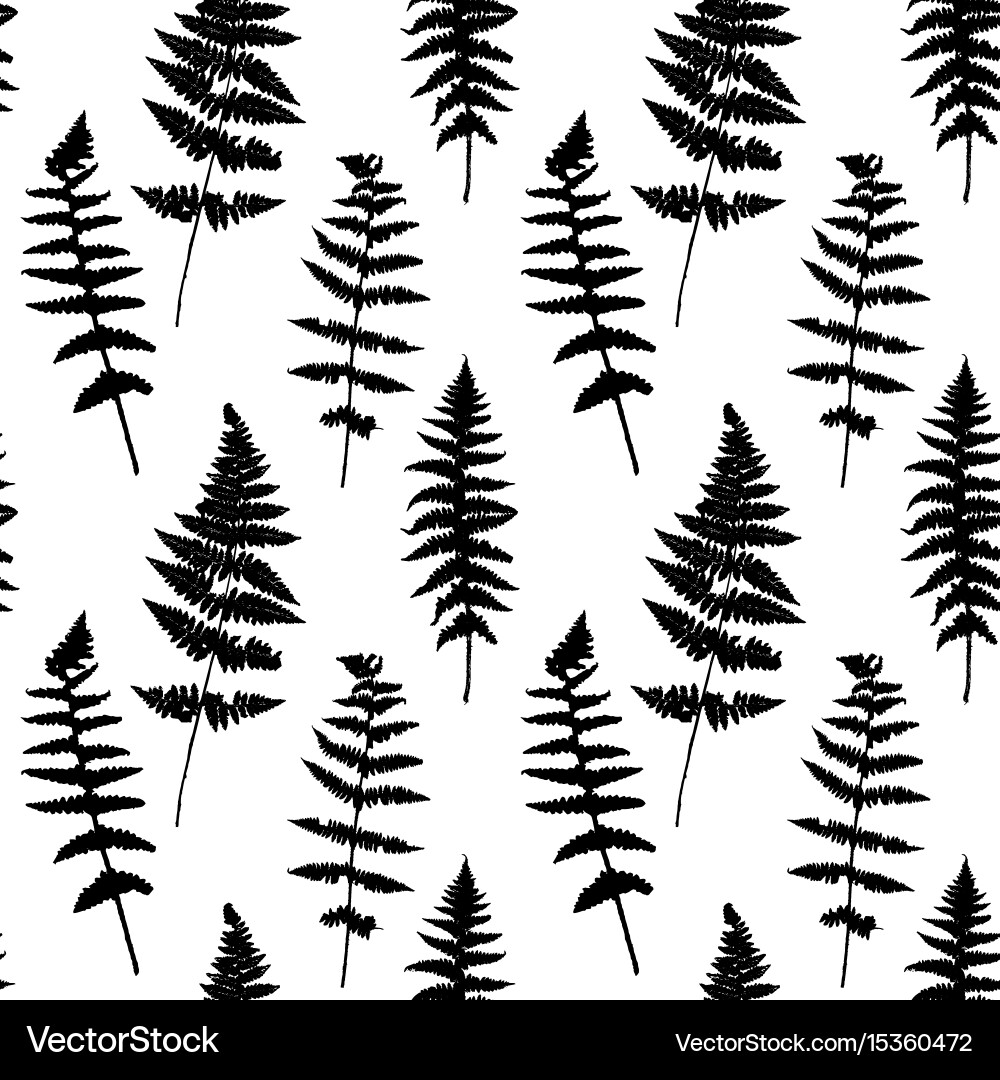Fern Leaf Silhouette Pattern Vector Image