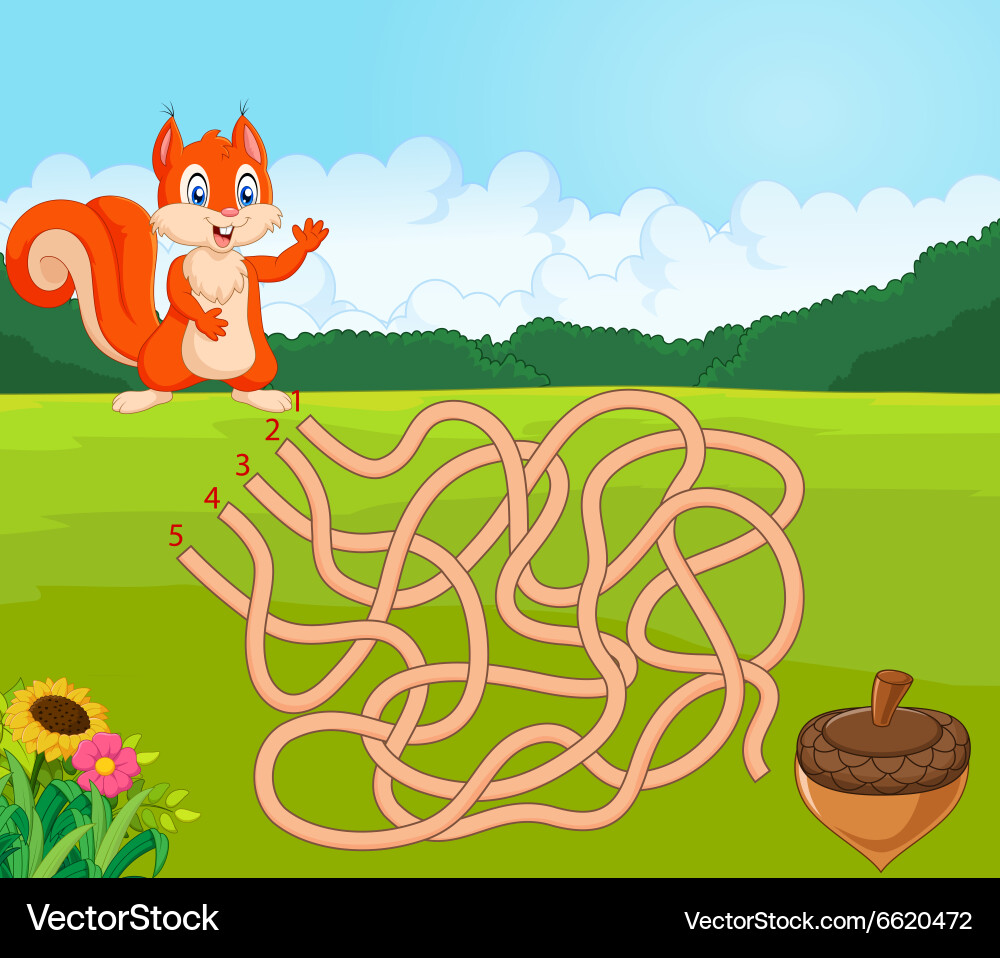 Help squirrel to find way pinecone in the maze Vector Image